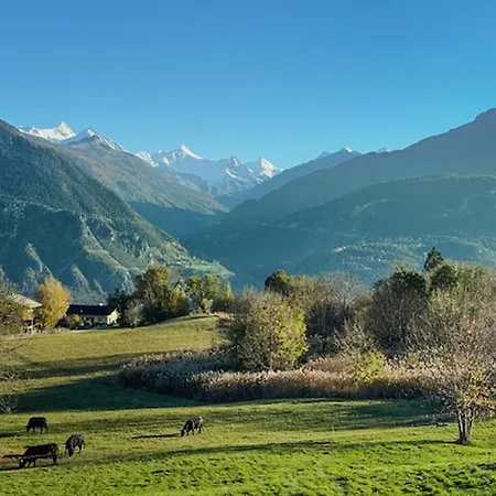 Sunny Lily Facing The Swiss Alps - Montana * 크란스몬타나