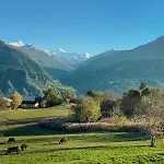Sunny Lily Facing The Swiss Alps - Montana * Кран-Монтана