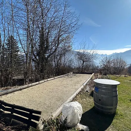 Sunny Lily Facing The Swiss Alps - Montana Кран-Монтана